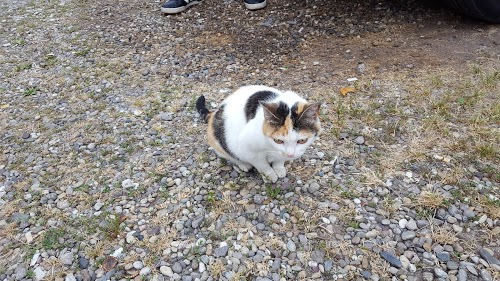 Alsace Autoprog, reprogrammation moteur, cartographie