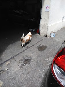 garage des bassets HARDY ERIC