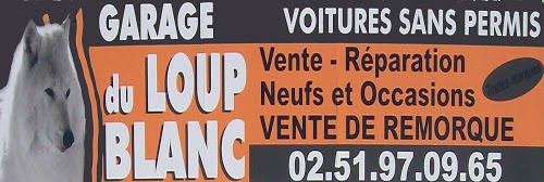 Garage du Loup Blanc voiture sans permis