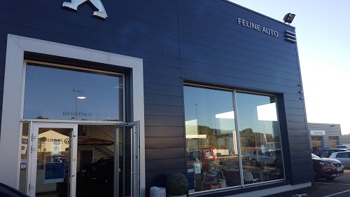 FELINE AUTO BAR LE DUC - PEUGEOT
