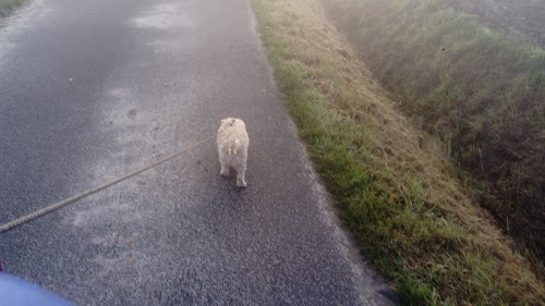 SE DES ETABLISSEMENTS DEBRIL - Citroën