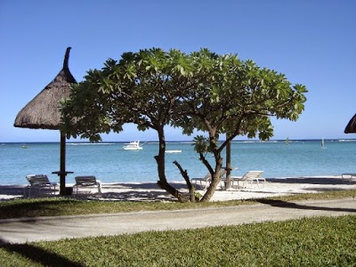 PARASCANDOLA CTO TOULON LA SEYNE - Citroën