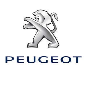 SARL GARAGE LARGE - PEUGEOT