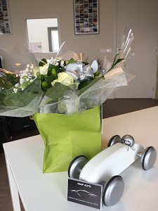 Asap auto / Kamp automobile