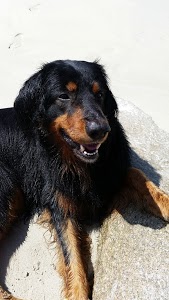 Auto Sécurité - Auto controle jarlot