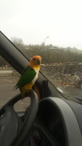 Centre contrôle technique Dekra