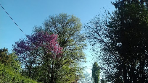 Autovision Contrôle Technique