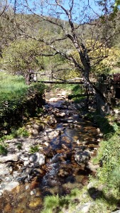 contrôle technique thuir Norisko Auto