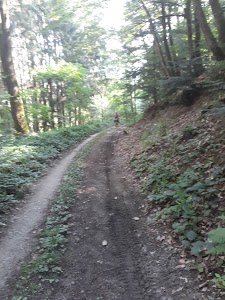 Centre contrôle technique Dekra