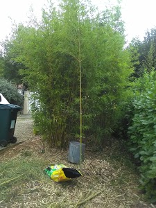 Meponte Alain Robert