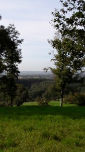 B.P.J.V (Bougez Pas J'y Vais)