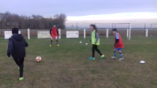 Petit Forestier Location