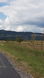 Renault Bastide Serge Agent