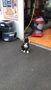 PARE BRISE DOULLENS KALI GLASS