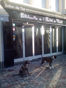 MONDIAL PARE-BRISE CHÂTEAU D'OLONNE