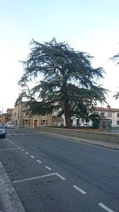 Station-service Carrefour