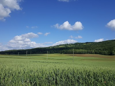 Mr. Frédéric Bobillier