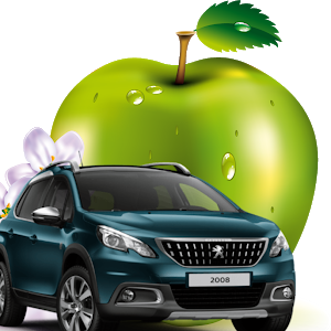 Auto Ecole du Pays d'Othe