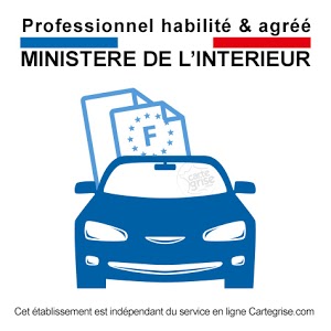 Carte Grise Minute D