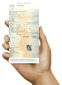 Service Carte Grise Nice / Plaque Immat