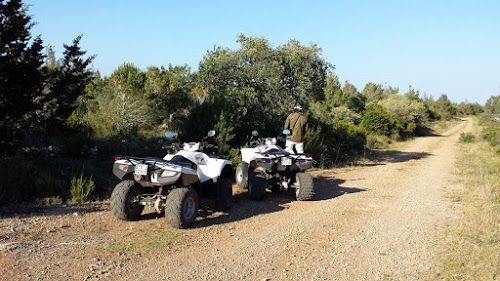 LIBERTADQUAD.COM - LOCATION DE QUAD