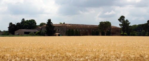 Quad Escape Rando Quad / E Scoot