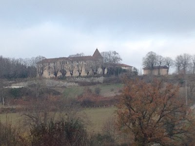 Moto Quad Alternative