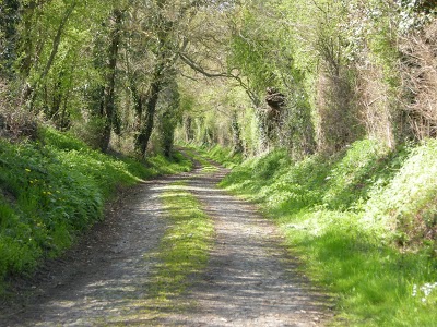 Bourgogne Du Sud Rando Quad herv