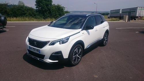 Peugeot - Marc Pajot Automobile