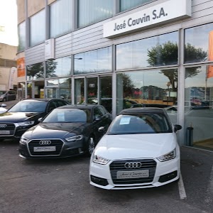Audi Grasse